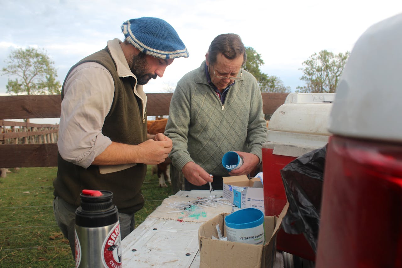 Farmers preparing veterinary medicines outdoors on a rural farm setting.